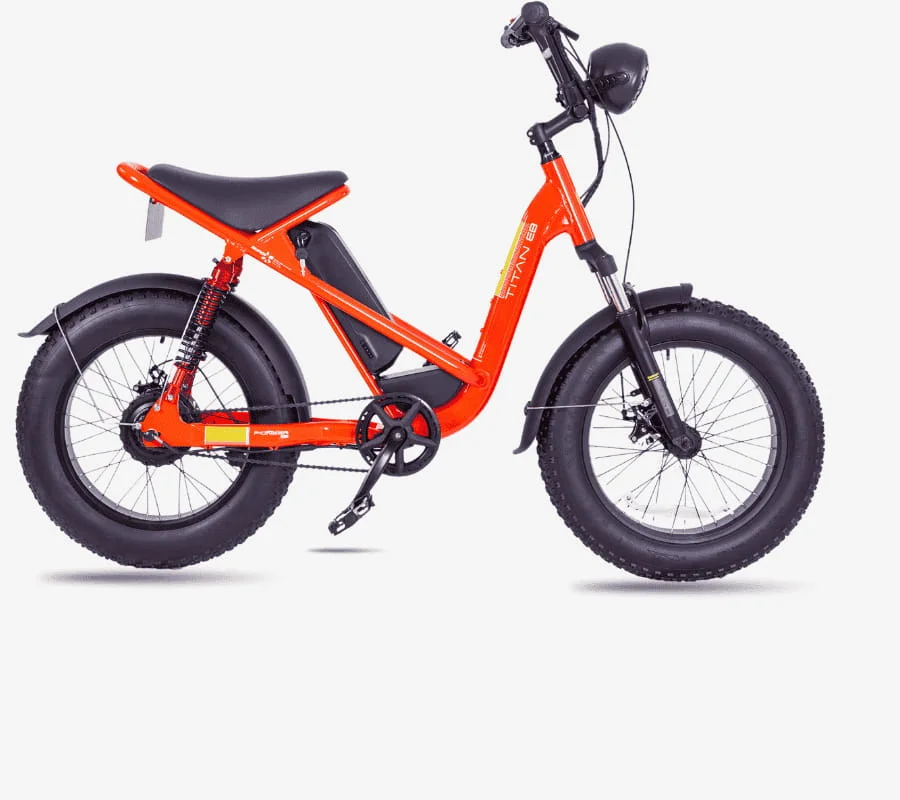 Bicicleta Eléctrica Pioneer Rin 20