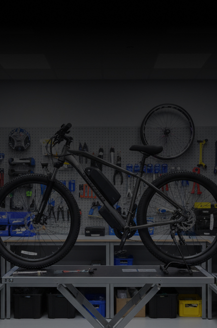 Repuesto 02 Bicicleta eléctrica rueda ancha 3.0 rin 29