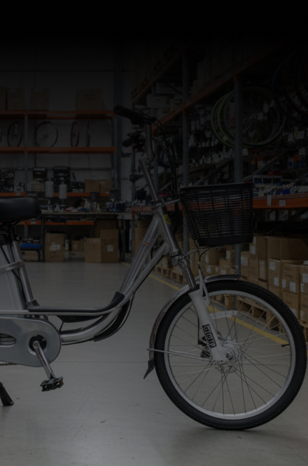 Repuesto 02 Bicicleta Eléctrica dos 2 Puestos